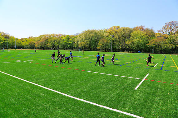 Artificial_turf_field.jpg