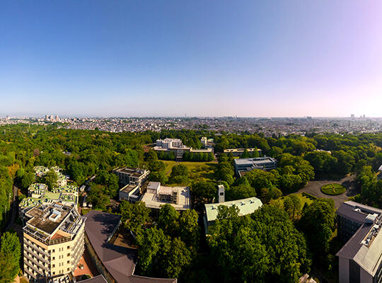 Conserving the Natural Environment on Campus