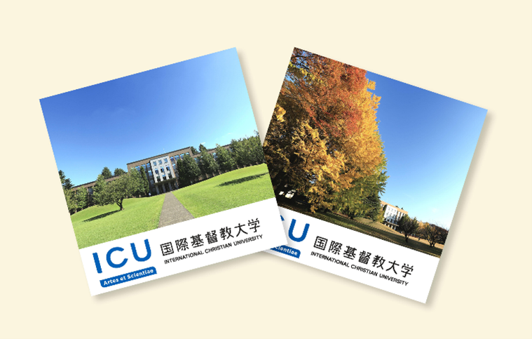 ICU紅茶2個セット.png