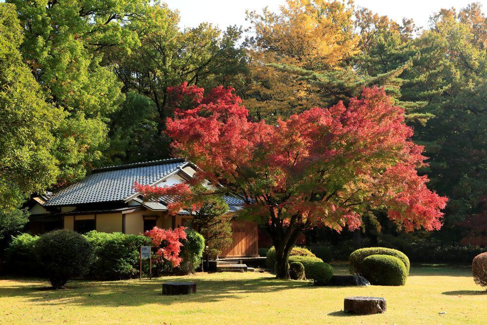 P26_泰山荘 (1).JPG