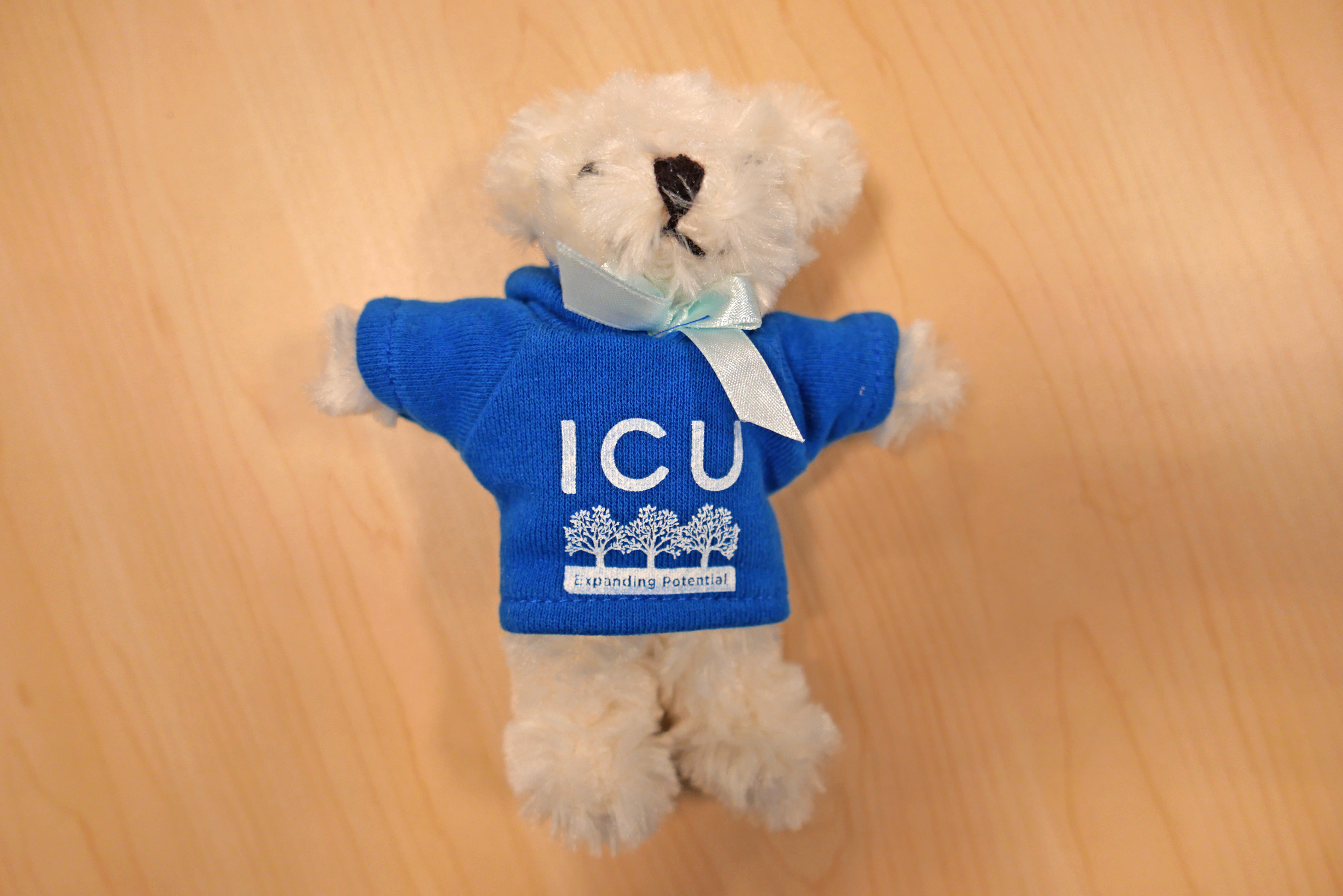 ICU Bear