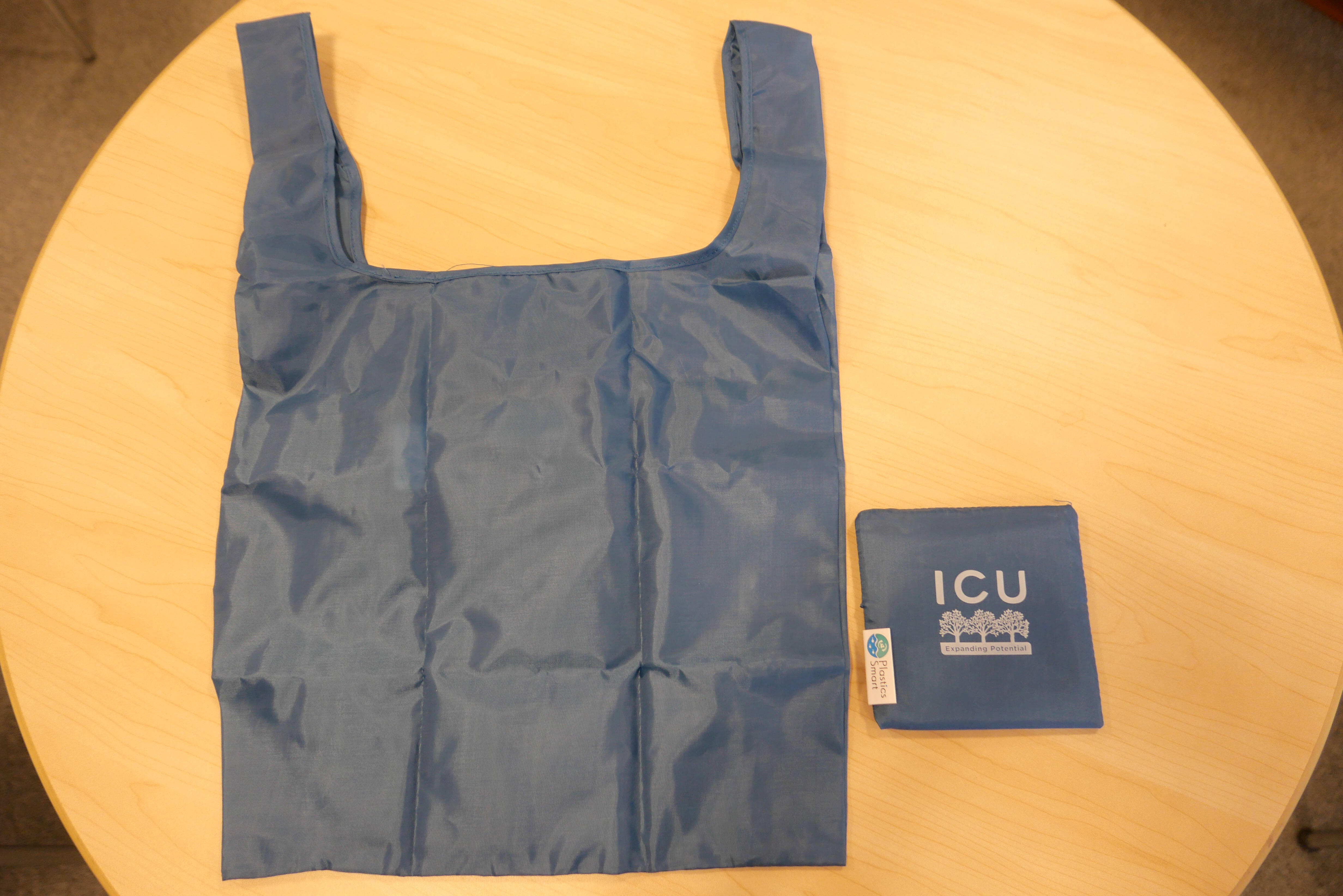 Sample of ICU Original goods (e.g. Eco-friendly bag)  