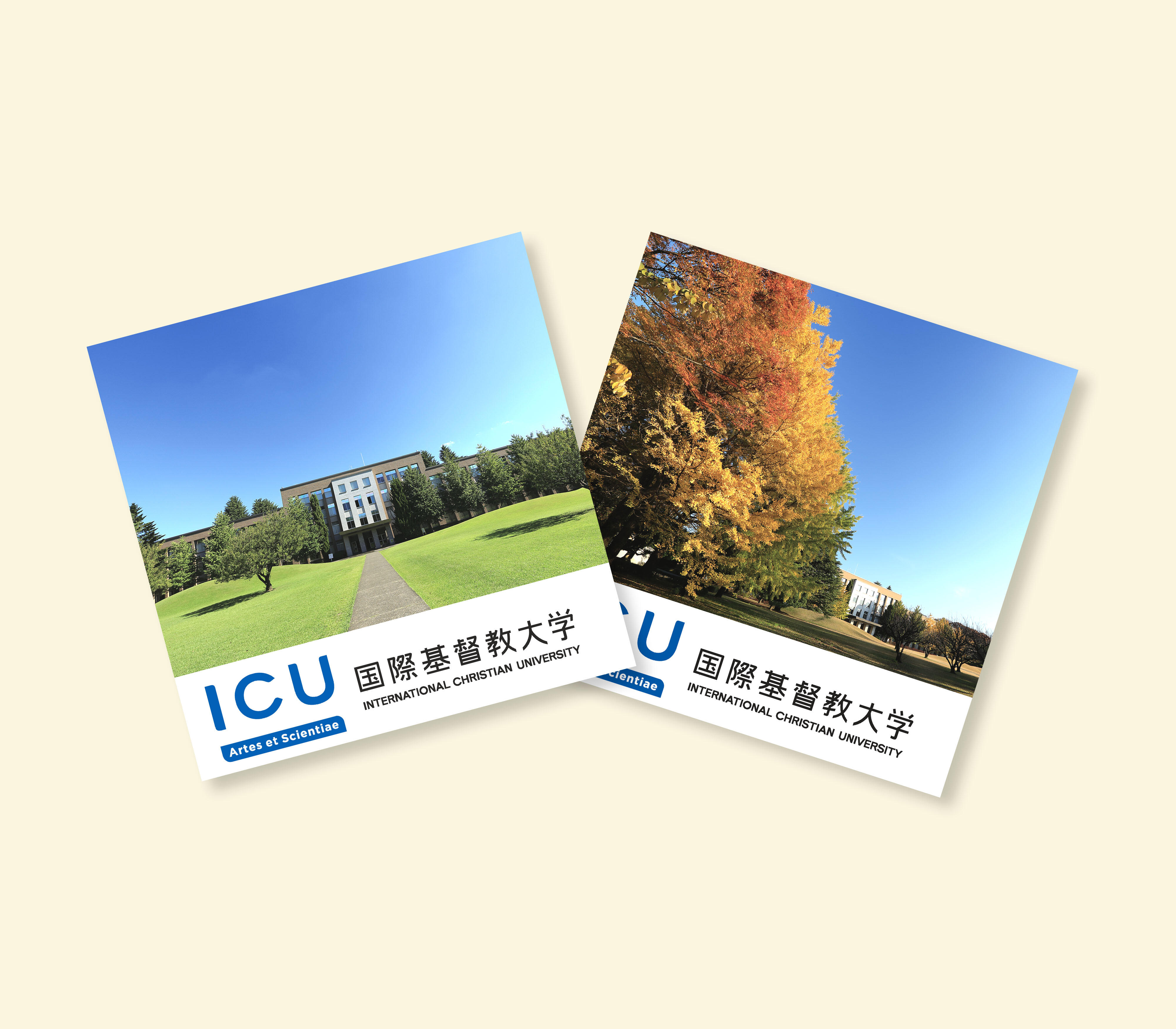 ICUオリジナル紅茶2袋