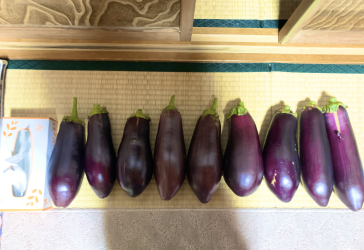 horiuchi_25s-02.png