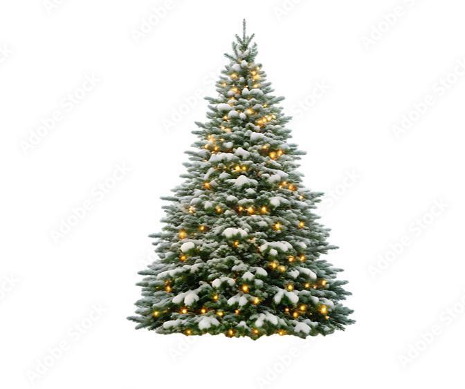 christmastree.JPG
